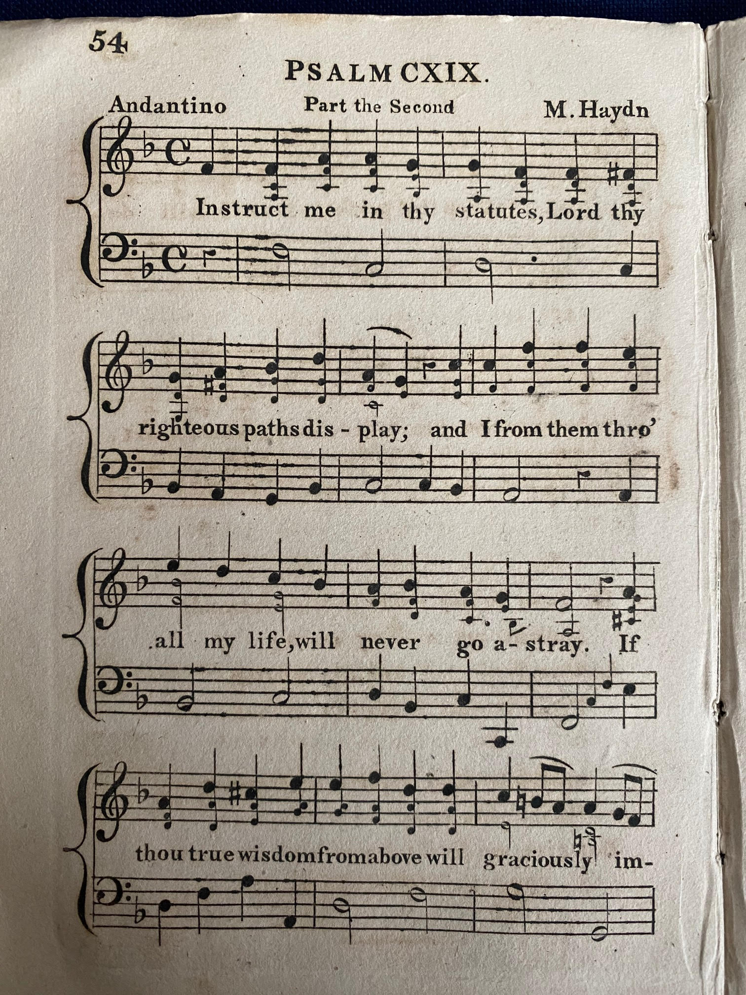 unnamed (5)